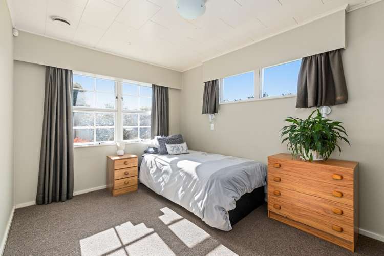 4 Plunket Street Tamatea_7