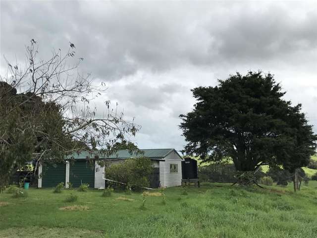 740 Tangowahine Valley Road Dargaville Surrounds_2