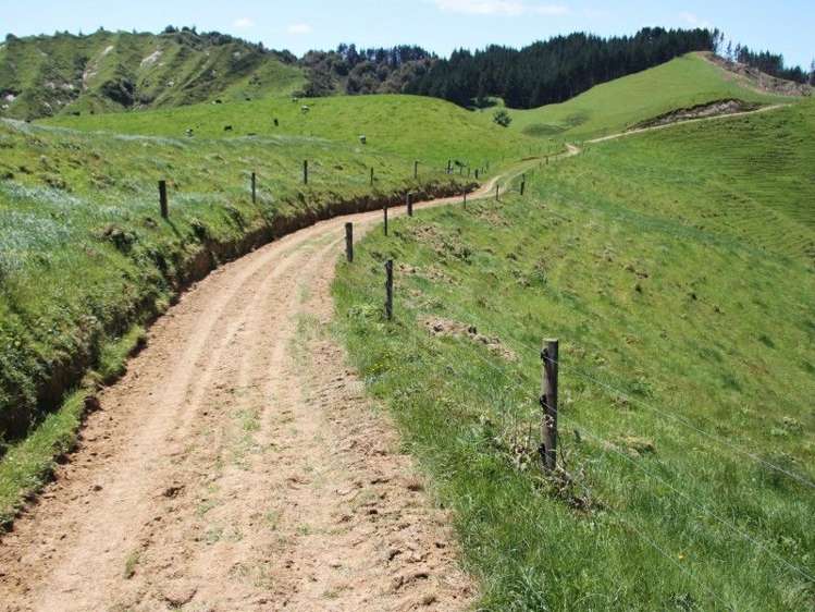 Otaraoa Road Tarata_10