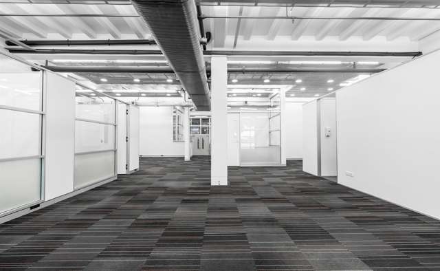 72 Dominion Road Mount Eden_1