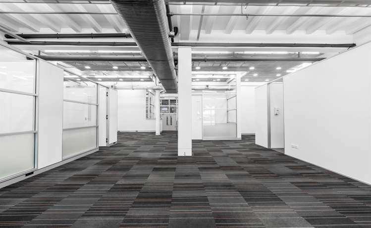 72 Dominion Road Mount Eden_1