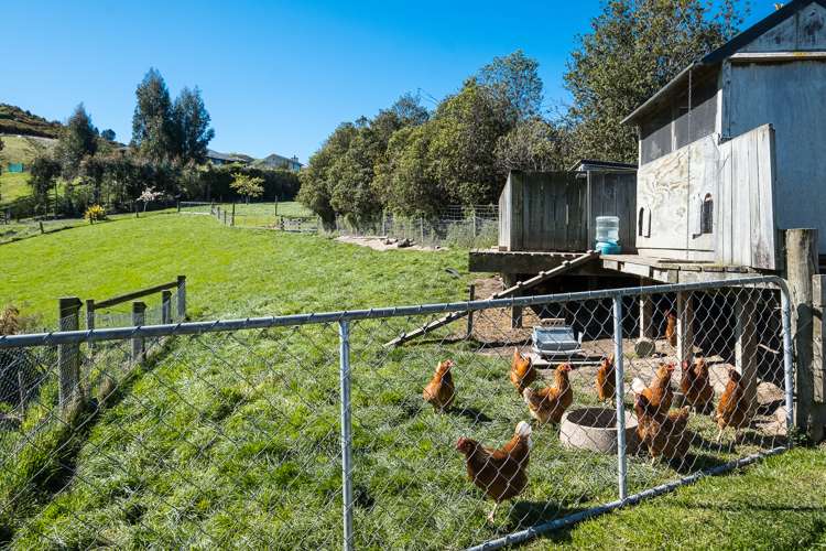 300 Tirohanga Road North Taieri_31