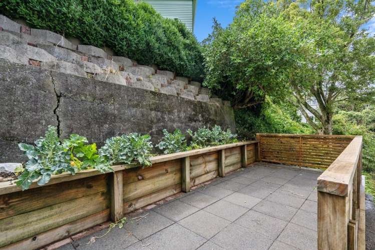 25 McColl Street Vogeltown_9