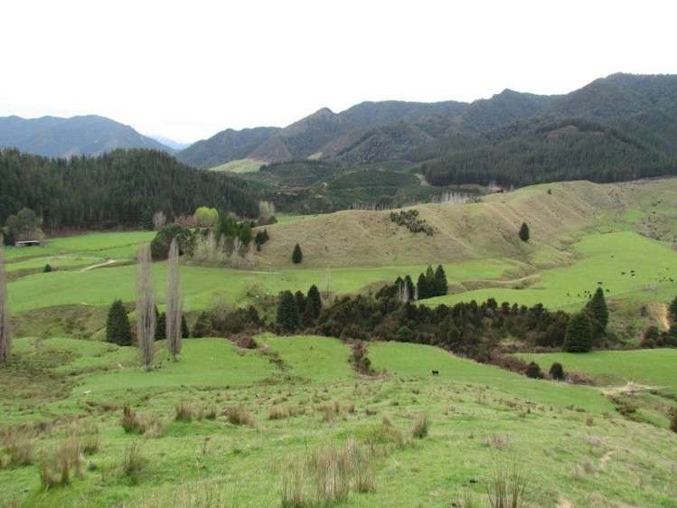 162 Owen Valley East Road Kahurangi National Park_0