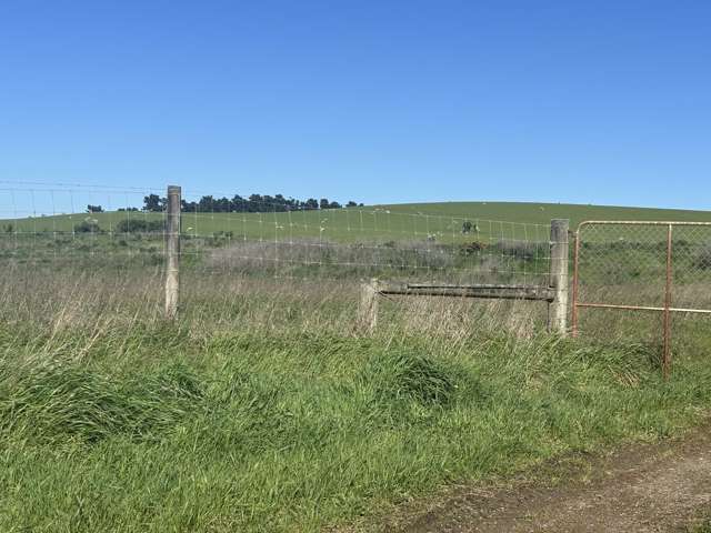 Beach Road Oamaru_4