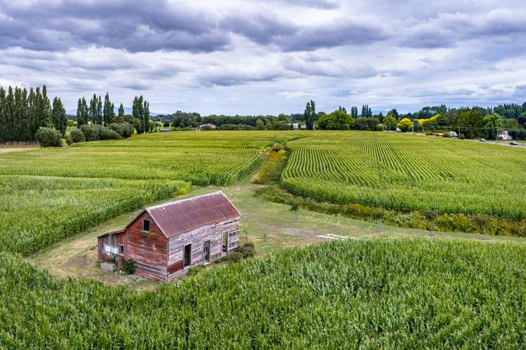 2520 State Highway 2 Greytown_0