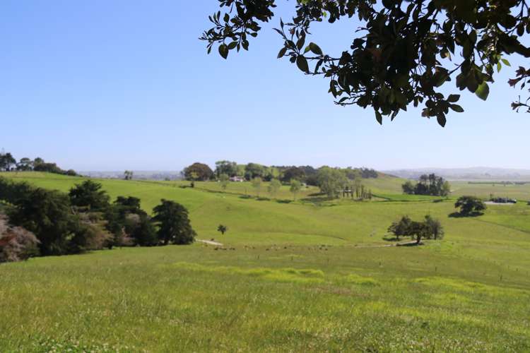 176 Morrison Road Arapohue_7