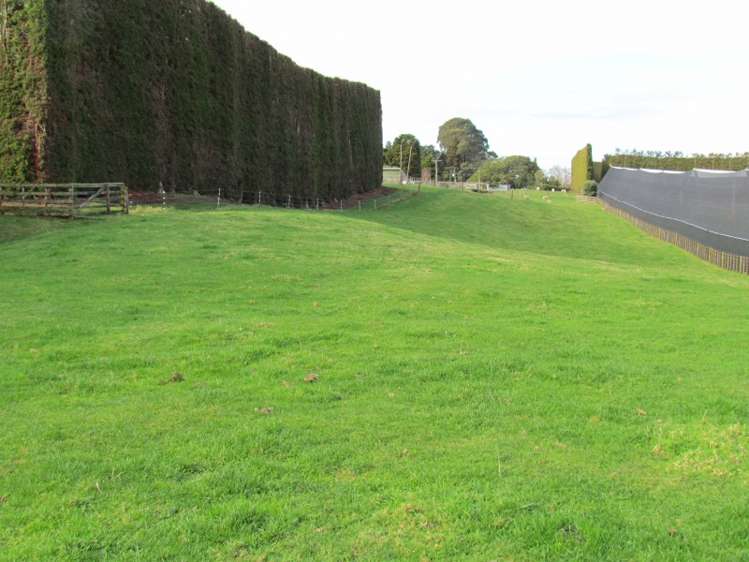 402 Youngson Road Whakamarama_2