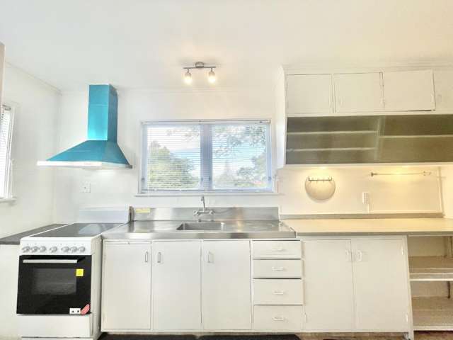 20B Karaka Street 1732_1