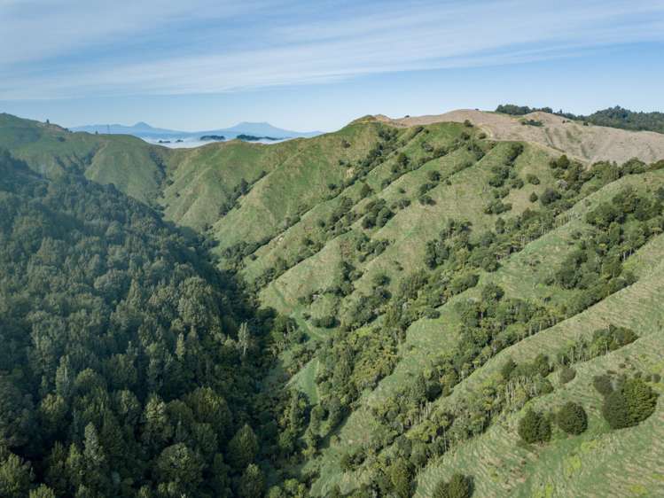 855 Okahukura Saddle Road Waimiha-Ongarue_6