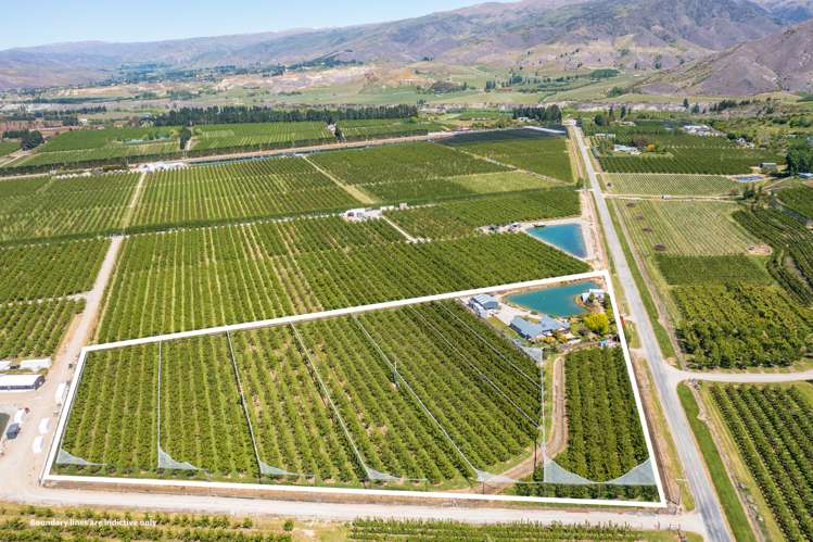 337 Ripponvale Road Cromwell_2