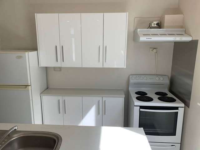 16A Normanby Street Newtown_1