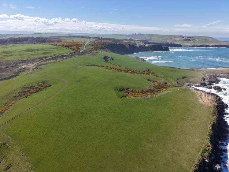 769 Slope Point Road Haldane_6