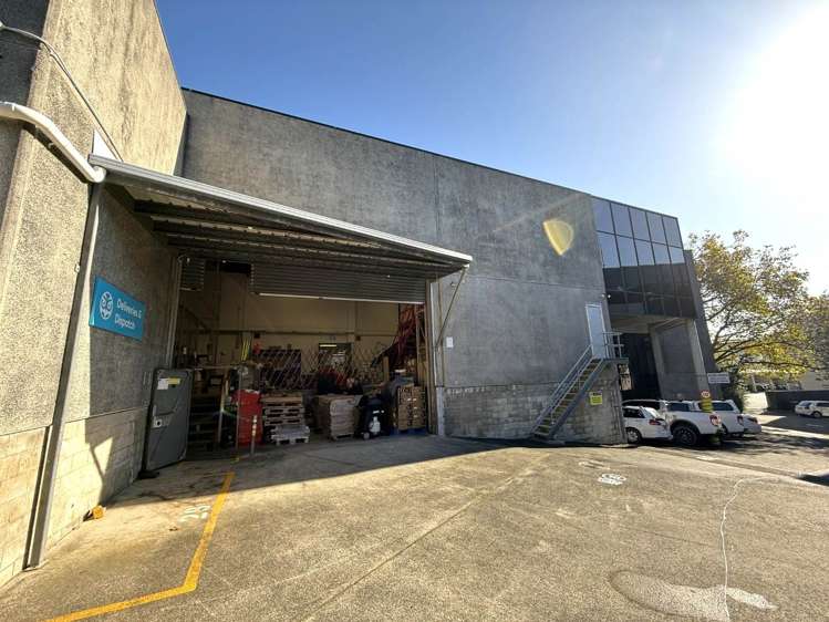 5 Wilkins Street Freemans Bay_7