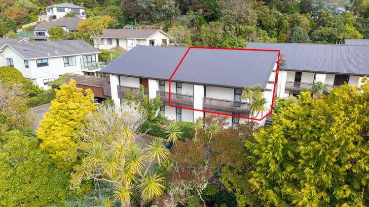 141J Churton Drive Churton Park_11