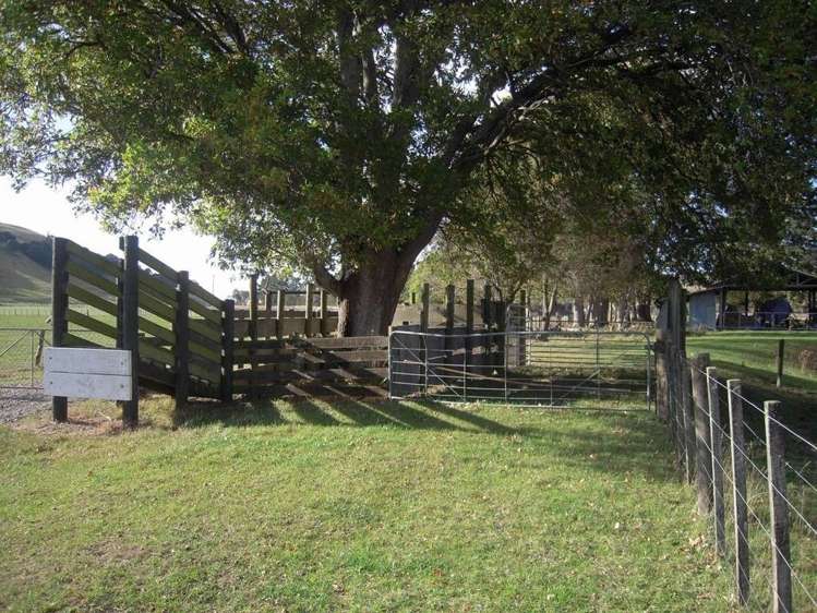 30 Riddells Road Longbush_13