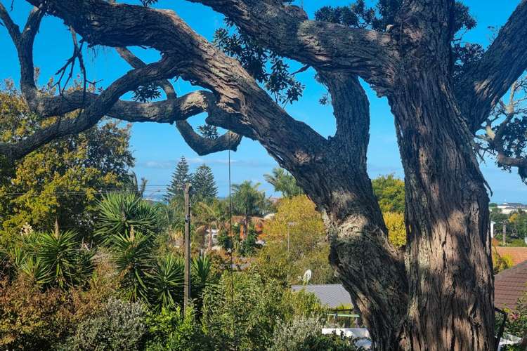 3/77 Old Lake Road Narrow Neck_14