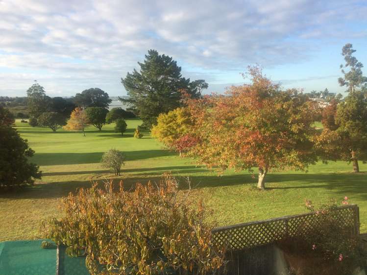 166 Torkar Road Clarks Beach_36