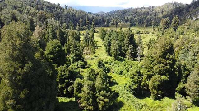 250 Granite Creek Road Karamea_4