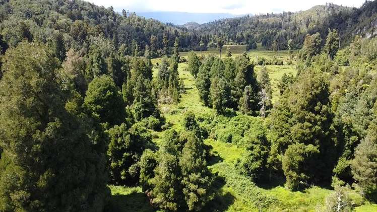 250 Granite Creek Road Karamea_4