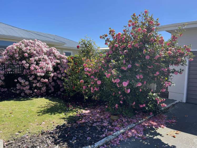 46 Redcastle Road Oamaru_12