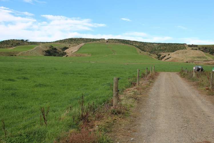 90A Mataura Island Factory Road Mataura Island_6