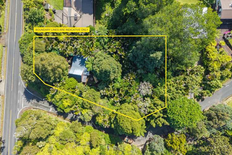 828 West Coast Road Oratia_13