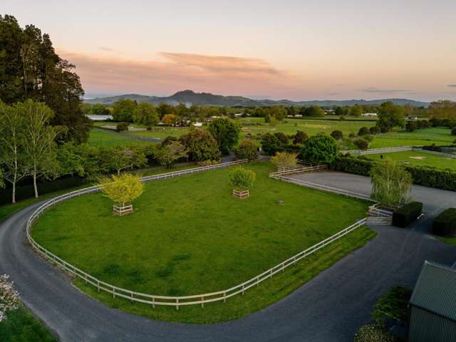 441C Marychurch Road Matangi_4