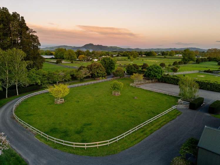 441C Marychurch Road Matangi_4