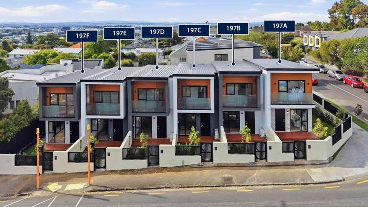 197 Campbell Road Greenlane_17