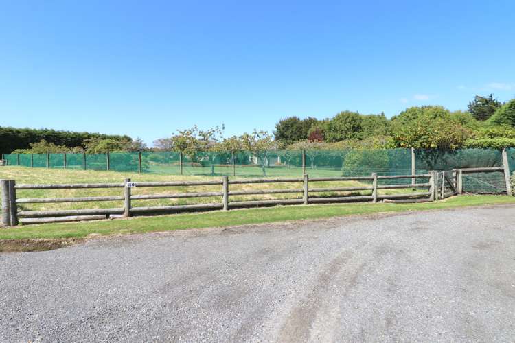 150 Otatara Road New River Ferry_39