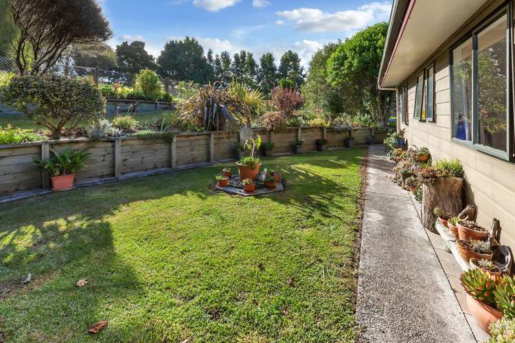 903 Springfield Road Mangapai and Surrounds_3