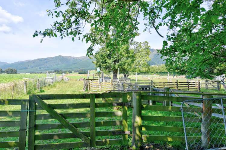 294 Sheddan Road Tapanui_29