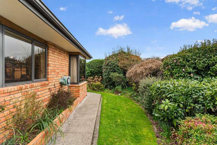 114B West Street Greytown_16