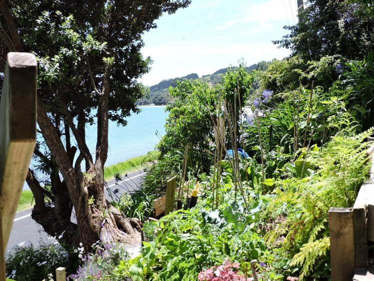 824 Thames Coast Road Te Mata_16