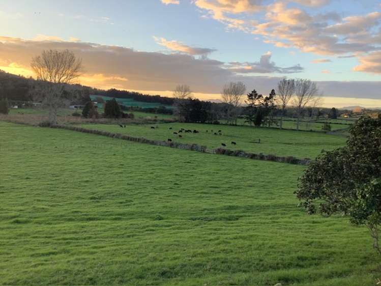 54 Tatton Road Maungatapere_3