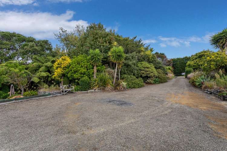 70b Thompson Road Opotiki and Surrounds_14