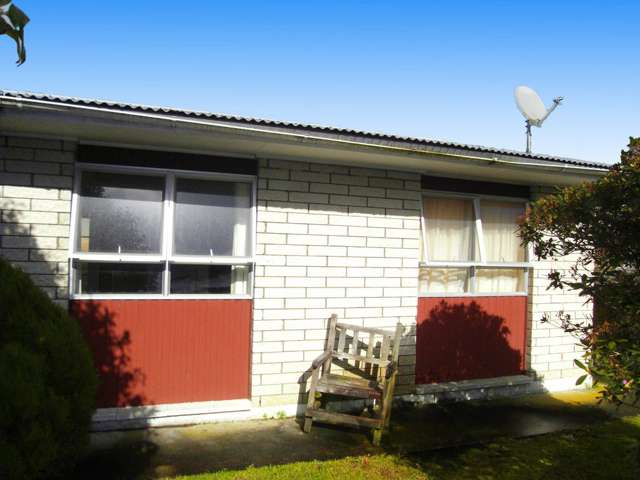 159b Nixon Street Hamilton East_1