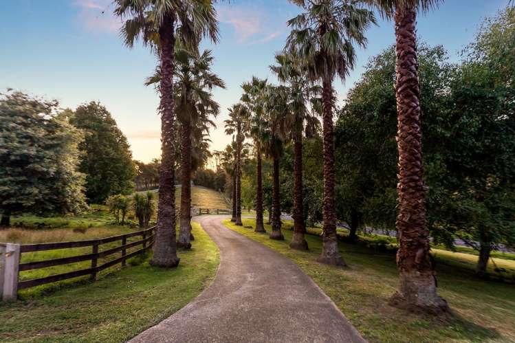 58 Haigh Access Road Redvale_16