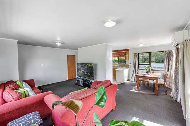 14a Arawa Street Frankton_1