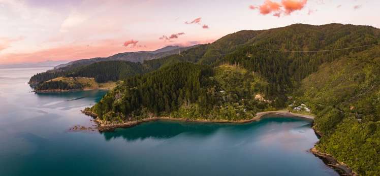 1818 Port Underwood Road Port Underwood_30