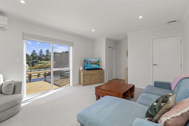 19b Frances Street Tirau_1