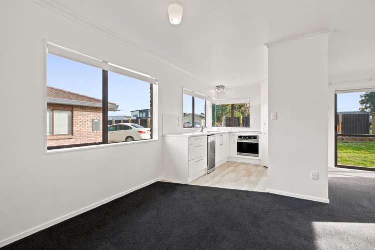 30B Selwyn Street Tauranga Central_4