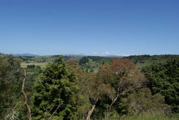 1114 State Highway 4 Manunui_6