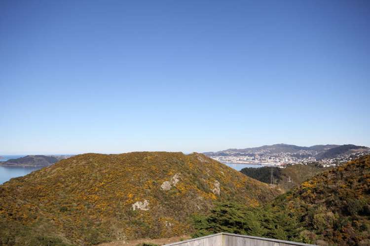 50 Miles Crescent Newlands_18