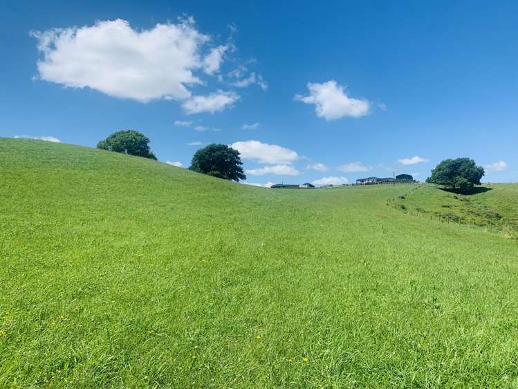 231B Morgan Road Matamata_23
