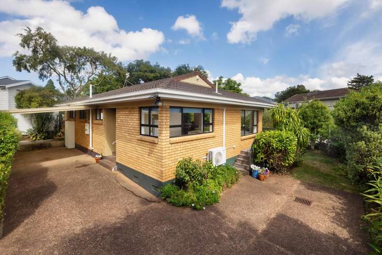 13a Kitenui Avenue Mount Albert_1