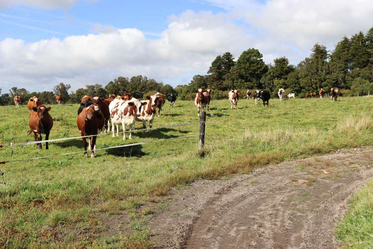 970 Pembroke Road West Stratford West_20