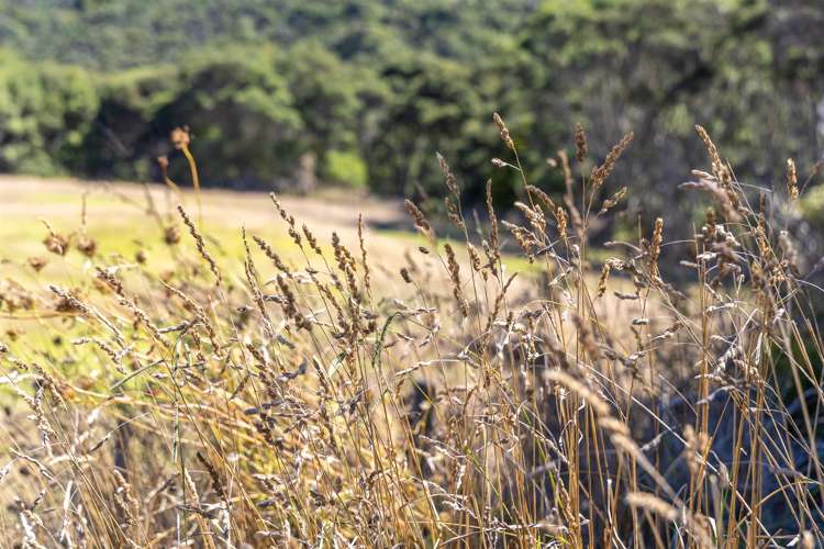 1223 Old North Road Waimauku_37