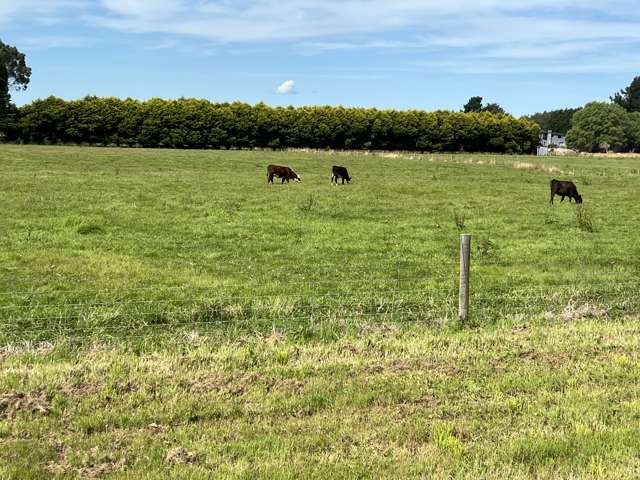 35 McKellar Road Seaward Bush_3